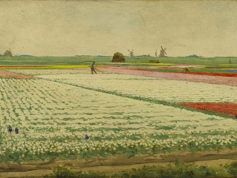 1866-Gerrit Willem Dijsselhof - Campi di tulipani